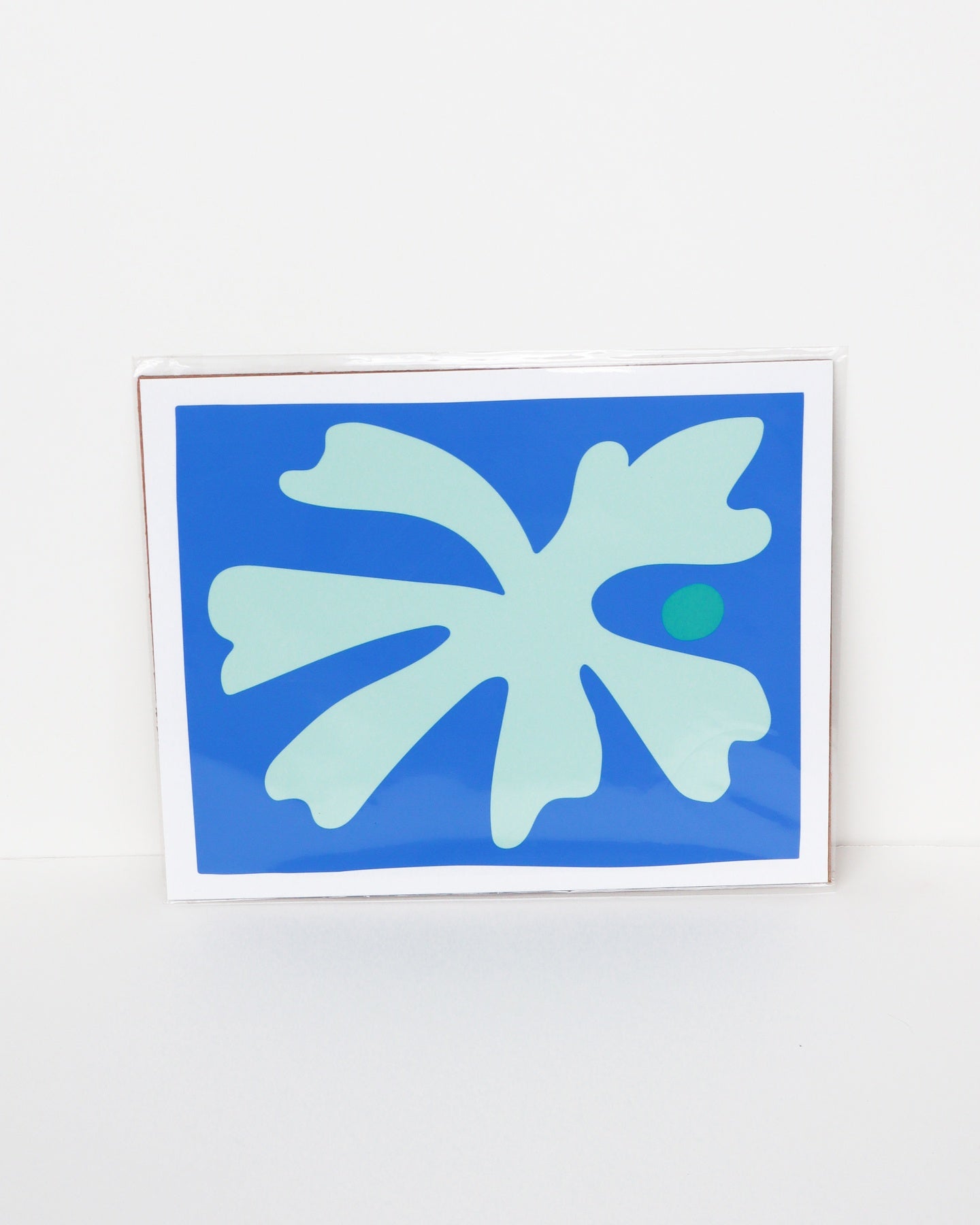 CORAL 02 PRINT