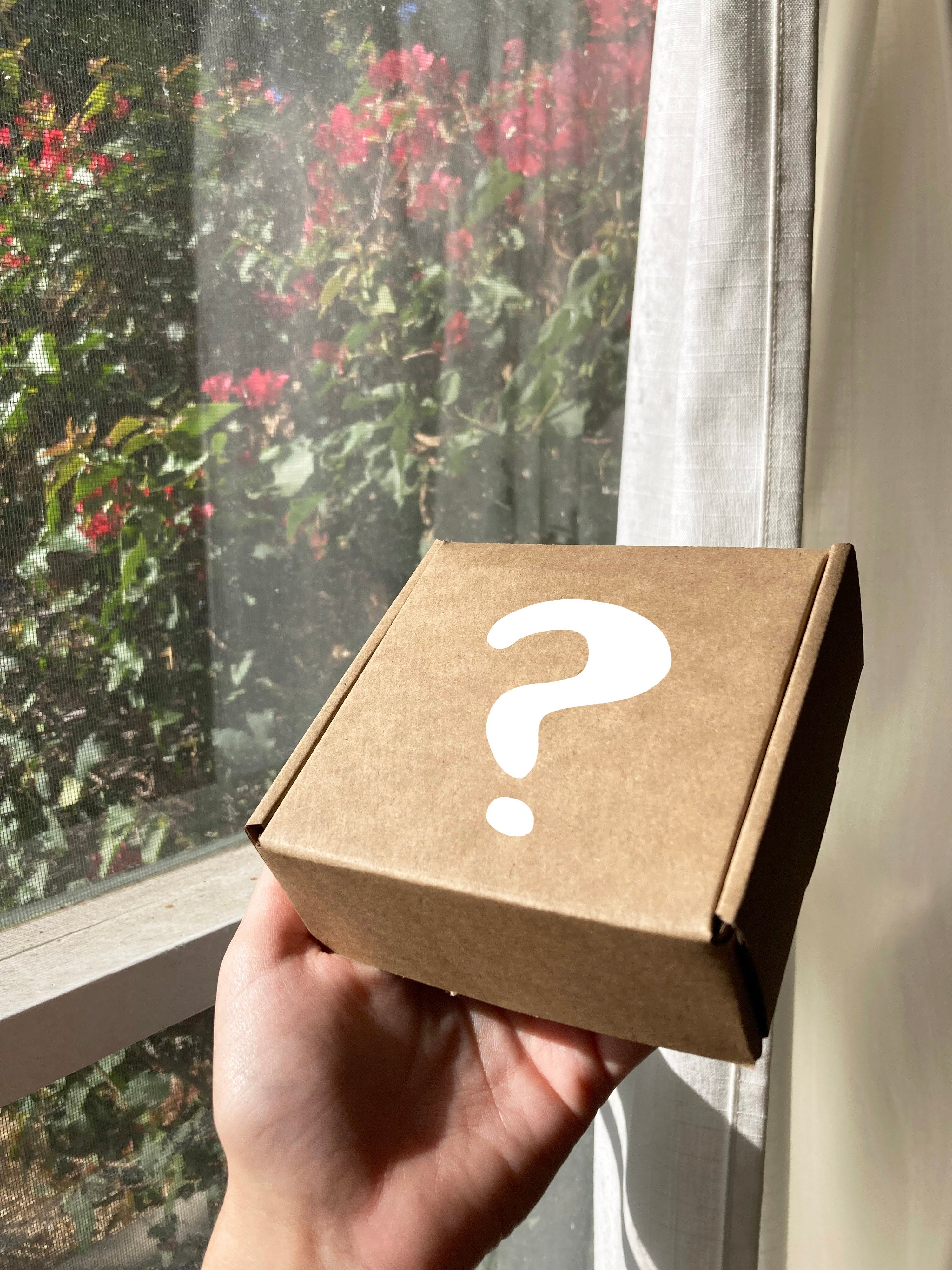 CUTTER MYSTERY BOX