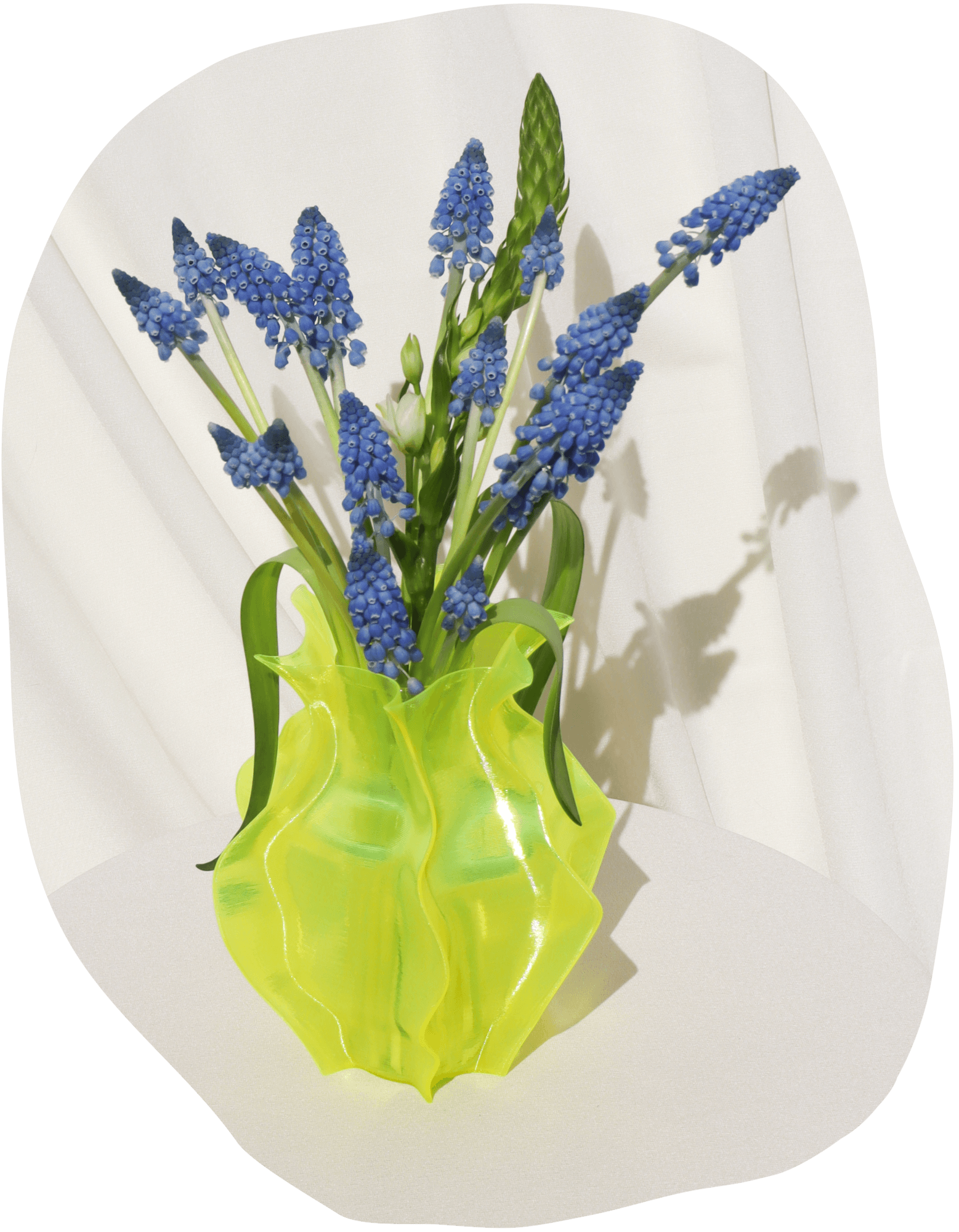 VORTEX VASE