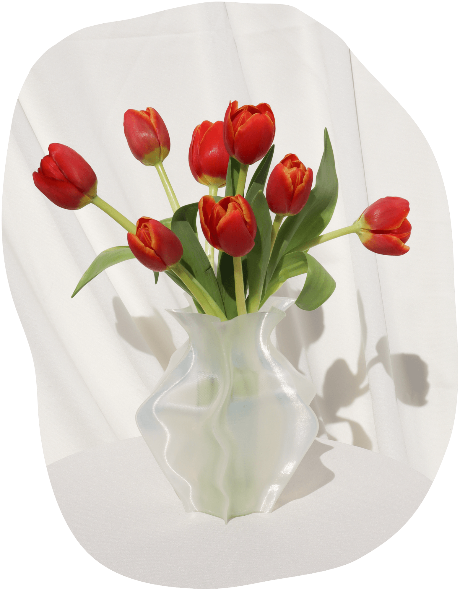 VORTEX VASE