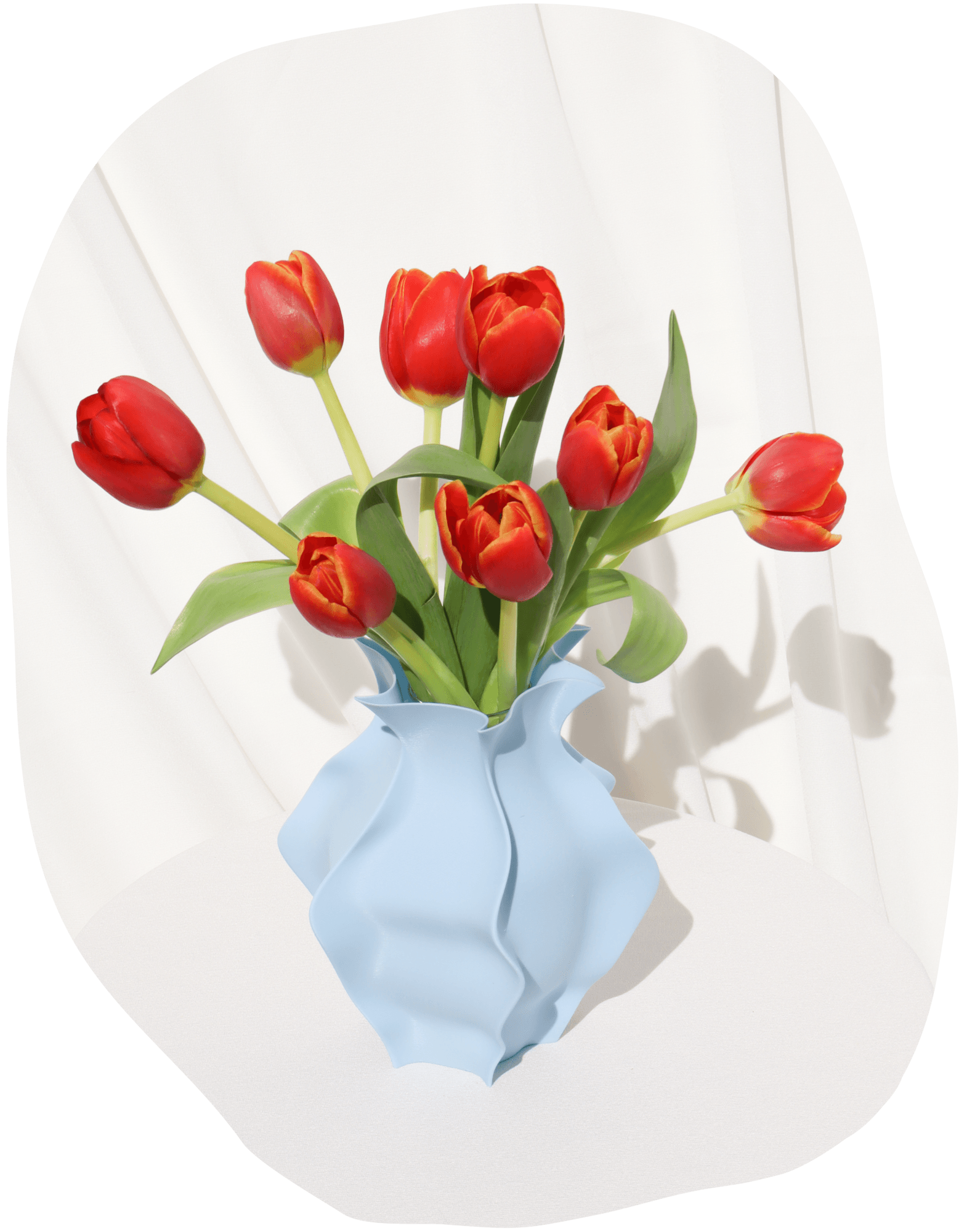 VORTEX VASE